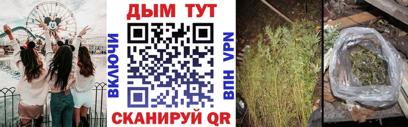 Купить наркотик Александров Псилоцибиновые грибы Альфа ПВП Гашиш Меф мяу мяу COCAIN