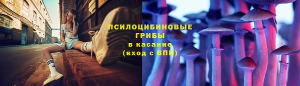 МДПВ Пестово