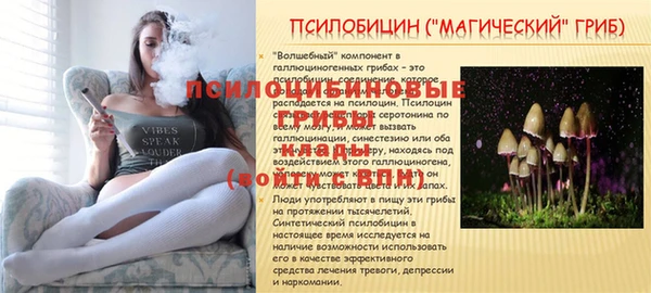 спайс Осташков