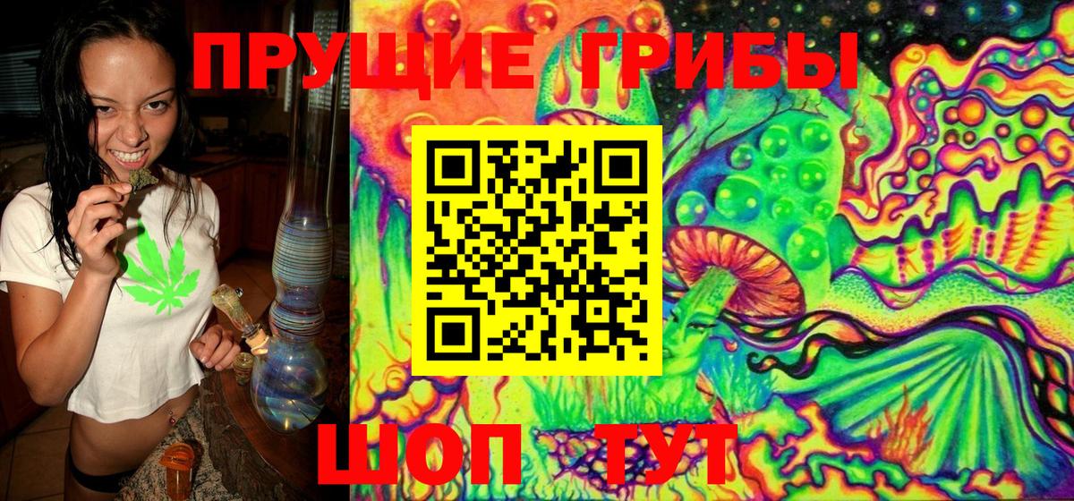 Псилоцибиновые грибы GOLDEN TEACHER Александров