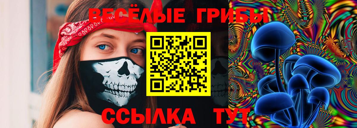 Галлюциногенные грибы мицелий  Вход с VPN  Александров 