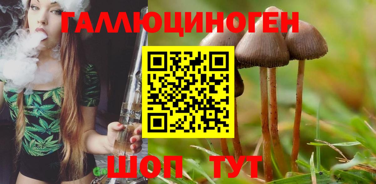 Галлюциногенные грибы мицелий  Александров 