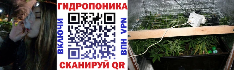 Шишки марихуана гибрид  даркнет сайт  Александров 